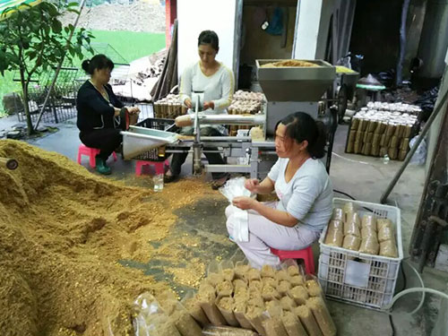 菌農(nóng)哥:食用菌袋通氣的四種技巧 菌農(nóng)哥:食用菌袋通氣的四種技巧