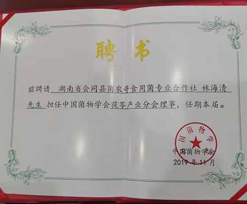 湖南創(chuàng)蕈農(nóng)業(yè)科技有限公司,懷化食用菌種植銷售,懷化羊肚菌種植銷售,懷化赤松茸種植銷售 湖南創(chuàng)蕈農(nóng)業(yè)科技有限公司,懷化食用菌種植銷售,懷化羊肚菌種植銷售,懷化赤松茸種植銷售