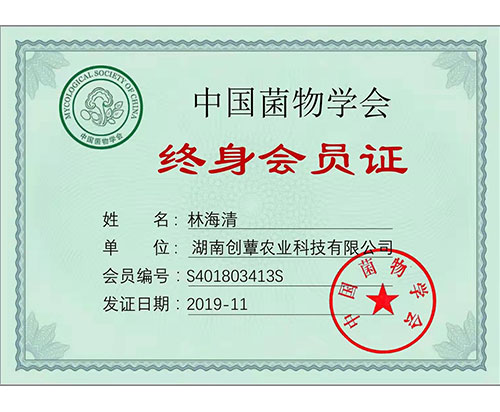 湖南創(chuàng)蕈農(nóng)業(yè)科技有限公司,懷化食用菌種植銷售,懷化羊肚菌種植銷售,懷化赤松茸種植銷售 湖南創(chuàng)蕈農(nóng)業(yè)科技有限公司,懷化食用菌種植銷售,懷化羊肚菌種植銷售,懷化赤松茸種植銷售